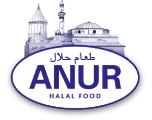 Logo Anur